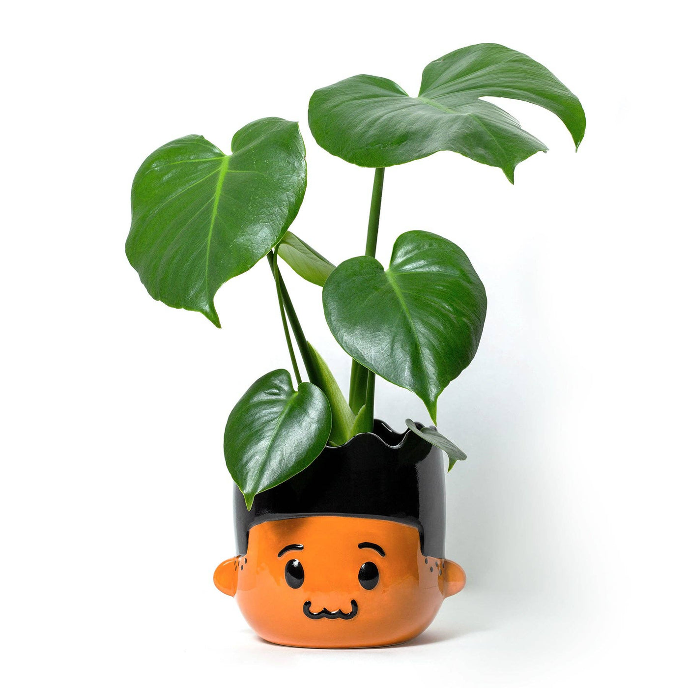 Dre Planter