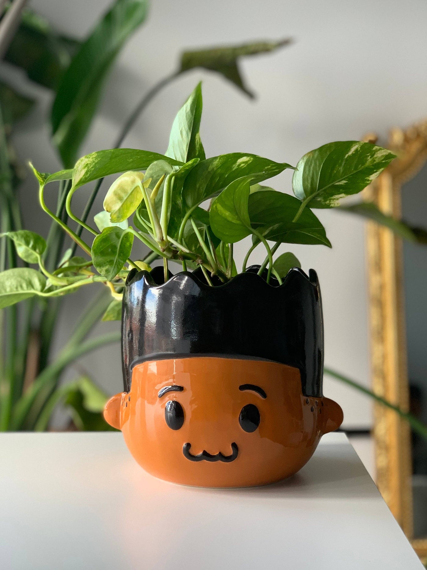 Dre Planter